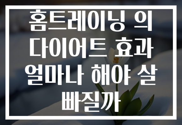 홈트레이닝 의 다이어트 효과 얼마나 해야 살 빠질까