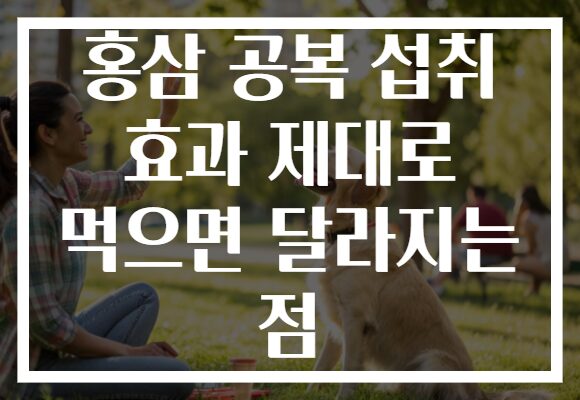 홍삼 공복 섭취 효과 제대로 먹으면 달라지는 점