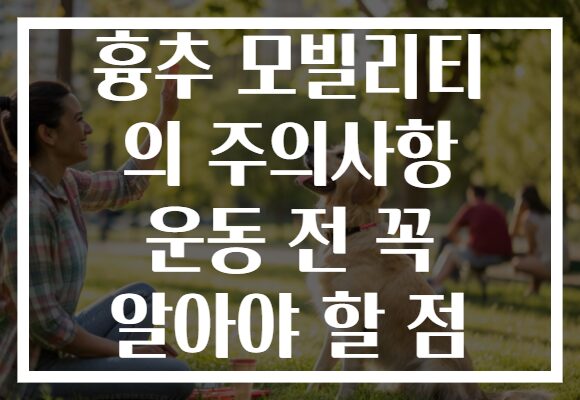 흉추 모빌리티 의 주의사항 운동 전 꼭 알아야 할 점