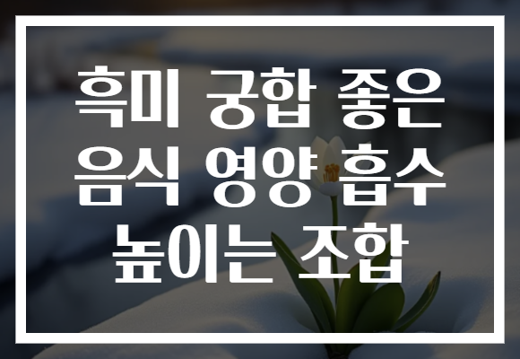 흑미 궁합 좋은 음식 영양 흡수 높이는 조합