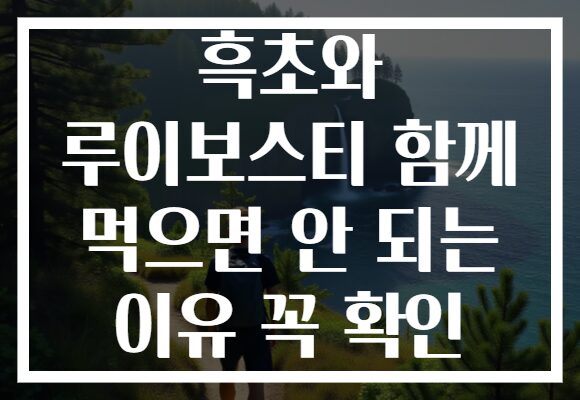 흑초와 루이보스티 함께 먹으면 안 되는 이유 꼭 확인