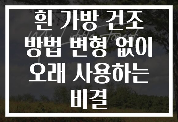 흰 가방 건조 방법 변형 없이 오래 사용하는 비결
