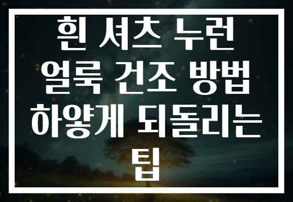 흰 셔츠 누런 얼룩 건조 방법 하얗게 되돌리는 팁
