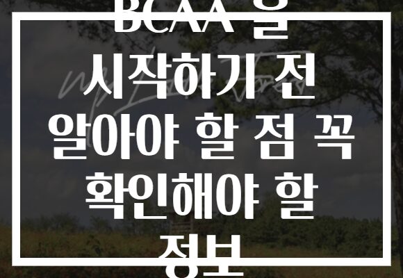 BCAA 을 시작하기 전 알아야 할 점 꼭 확인해야 할 정보
