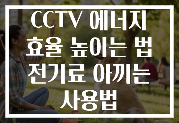 CCTV 에너지 효율 높이는 법 전기료 아끼는 사용법