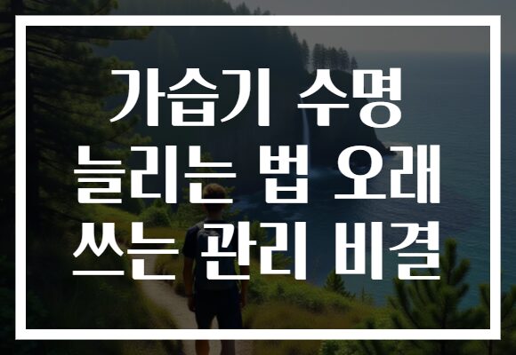 가습기 수명 늘리는 법 오래 쓰는 관리 비결