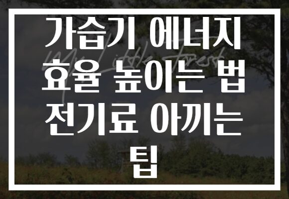 가습기 에너지 효율 높이는 법 전기료 아끼는 팁