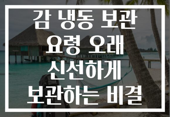 감 냉동 보관 요령 오래 신선하게 보관하는 비결