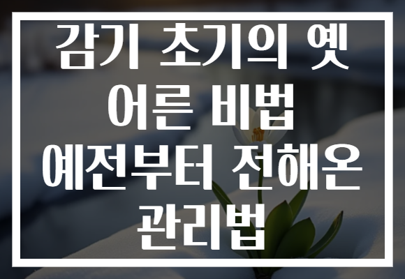 감기 초기의 옛 어른 비법 예전부터 전해온 관리법
