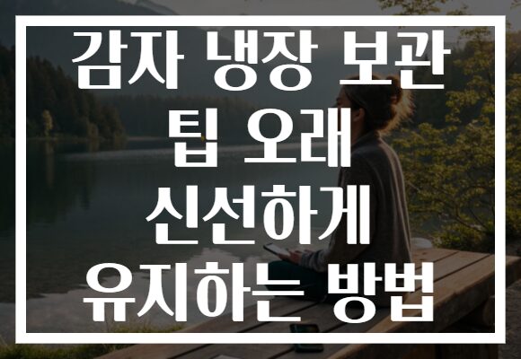 감자 냉장 보관 팁 오래 신선하게 유지하는 방법