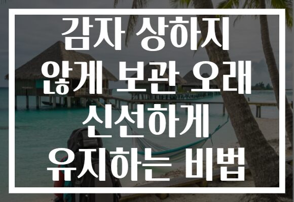 감자 상하지 않게 보관 오래 신선하게 유지하는 비법