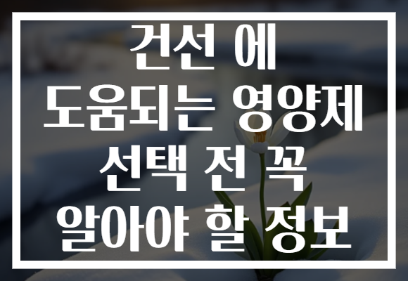 건선 에 도움되는 영양제 선택 전 꼭 알아야 할 정보