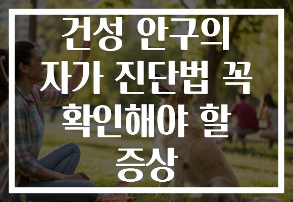 건성 안구의 자가 진단법 꼭 확인해야 할 증상
