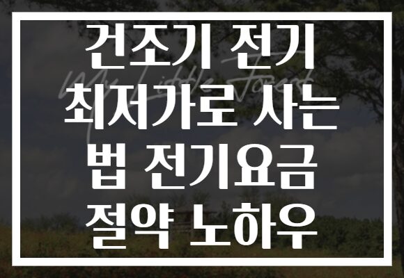 건조기 전기 최저가로 사는 법 전기요금 절약 노하우