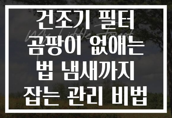 건조기 필터 곰팡이 없애는 법 냄새까지 잡는 관리 비법