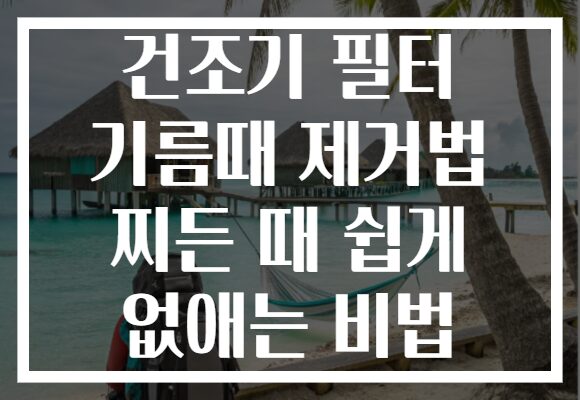 건조기 필터 기름때 제거법 찌든 때 쉽게 없애는 비법