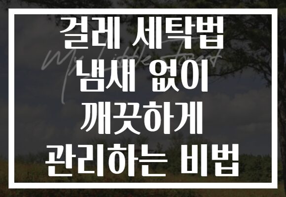 걸레 세탁법 냄새 없이 깨끗하게 관리하는 비법