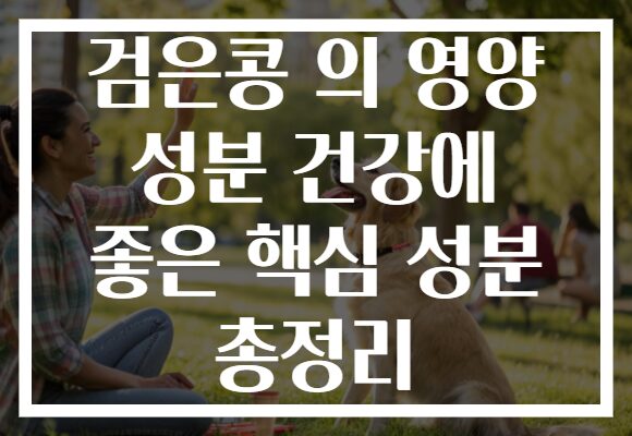 검은콩 의 영양 성분 건강에 좋은 핵심 성분 총정리