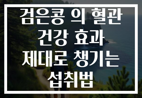검은콩 의 혈관 건강 효과 제대로 챙기는 섭취법