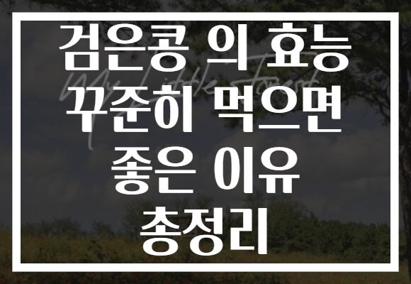 검은콩 의 효능 꾸준히 먹으면 좋은 이유 총정리