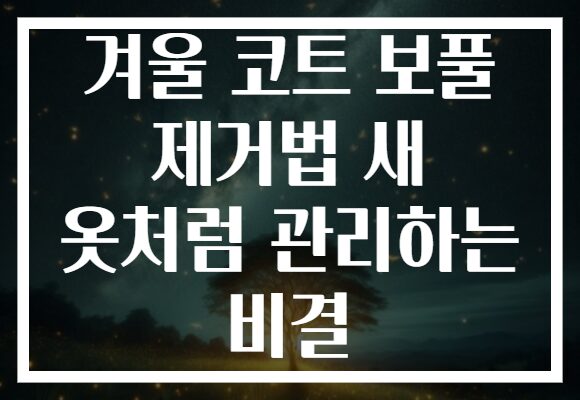 겨울 코트 보풀 제거법 새 옷처럼 관리하는 비결