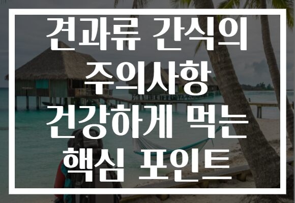 견과류 간식의 주의사항 건강하게 먹는 핵심 포인트