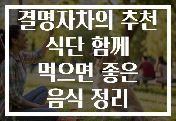 결명자차의 추천 식단 함께 먹으면 좋은 음식 정리