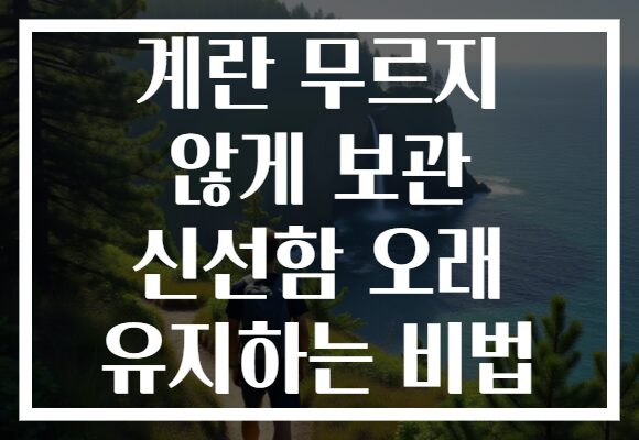 계란 무르지 않게 보관 신선함 오래 유지하는 비법