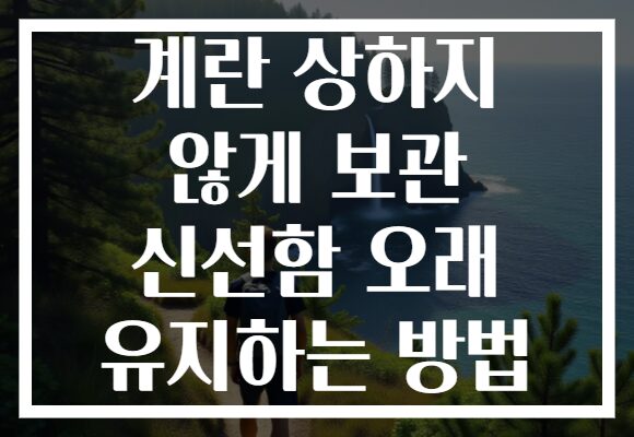 계란 상하지 않게 보관 신선함 오래 유지하는 방법