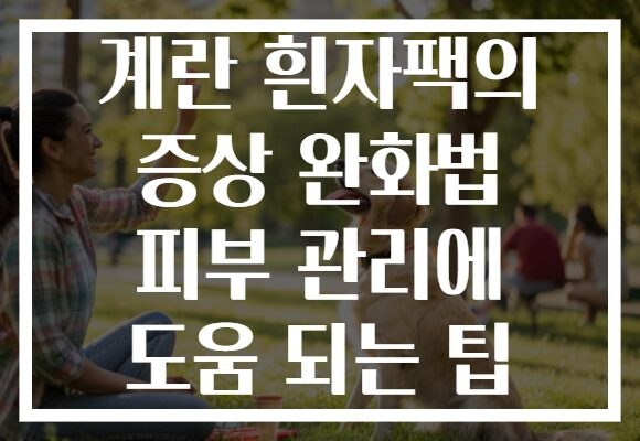 계란 흰자팩의 증상 완화법 피부 관리에 도움 되는 팁