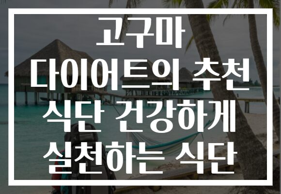고구마 다이어트의 추천 식단 건강하게 실천하는 식단