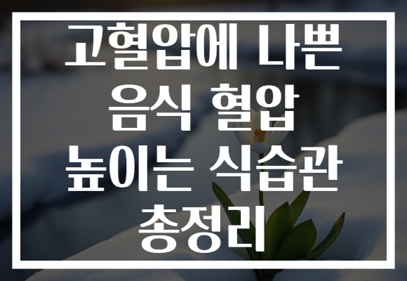 고혈압에 나쁜 음식 혈압 높이는 식습관 총정리