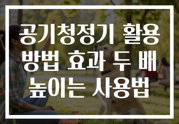 공기청정기 활용 방법 효과 두 배 높이는 사용법