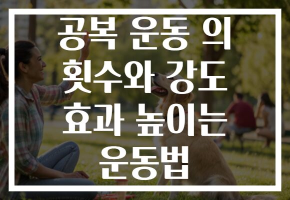 공복 운동 의 횟수와 강도 효과 높이는 운동법