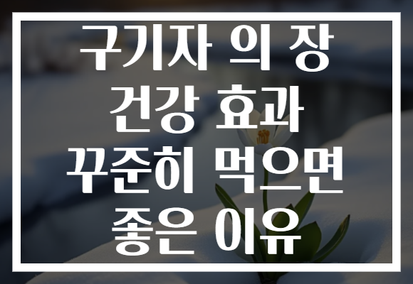 구기자 의 장 건강 효과 꾸준히 먹으면 좋은 이유