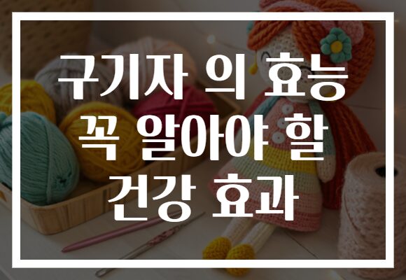 구기자 의 효능 꼭 알아야 할 건강 효과