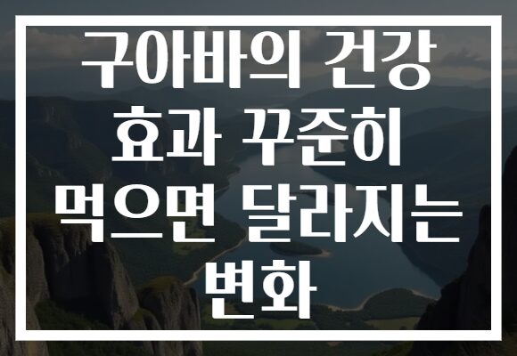 구아바의 건강 효과 꾸준히 먹으면 달라지는 변화