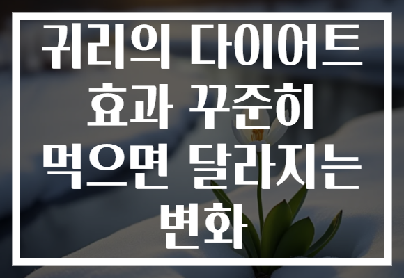 귀리의 다이어트 효과 꾸준히 먹으면 달라지는 변화