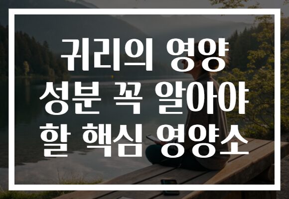 귀리의 영양 성분 꼭 알아야 할 핵심 영양소
