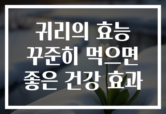귀리의 효능 꾸준히 먹으면 좋은 건강 효과