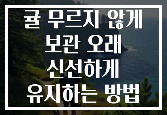 귤 무르지 않게 보관 오래 신선하게 유지하는 방법