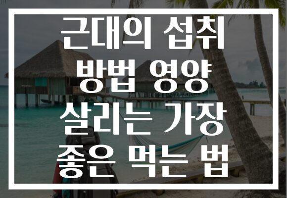 근대의 섭취 방법 영양 살리는 가장 좋은 먹는 법