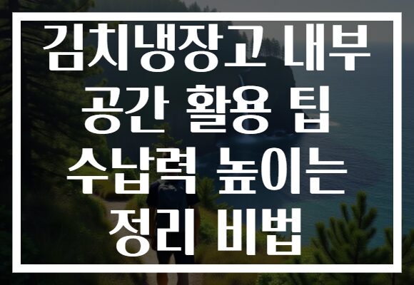 김치냉장고 내부 공간 활용 팁 수납력 높이는 정리 비법