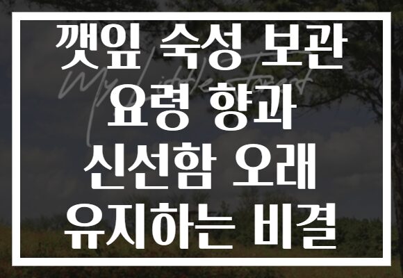 깻잎 숙성 보관 요령 향과 신선함 오래 유지하는 비결