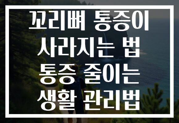 꼬리뼈 통증이 사라지는 법 통증 줄이는 생활 관리법