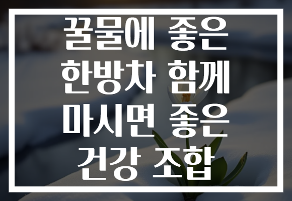 꿀물에 좋은 한방차 함께 마시면 좋은 건강 조합