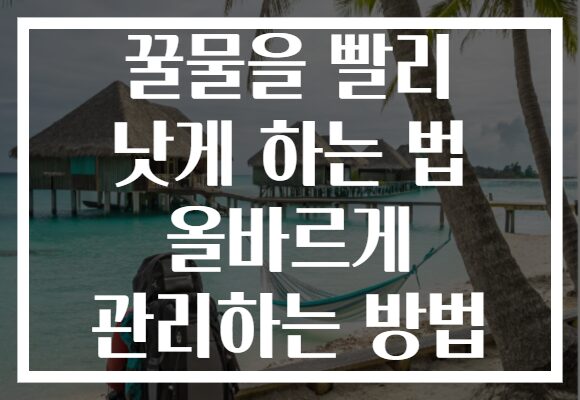 꿀물을 빨리 낫게 하는 법 올바르게 관리하는 방법
