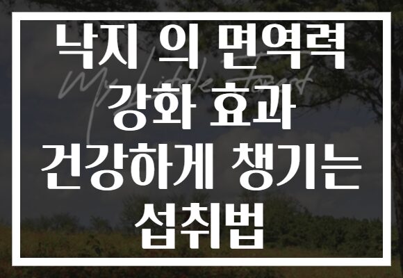 낙지 의 면역력 강화 효과 건강하게 챙기는 섭취법