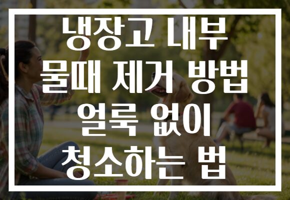 냉장고 내부 물때 제거 방법 얼룩 없이 청소하는 법