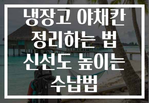 냉장고 야채칸 정리하는 법 신선도 높이는 수납법